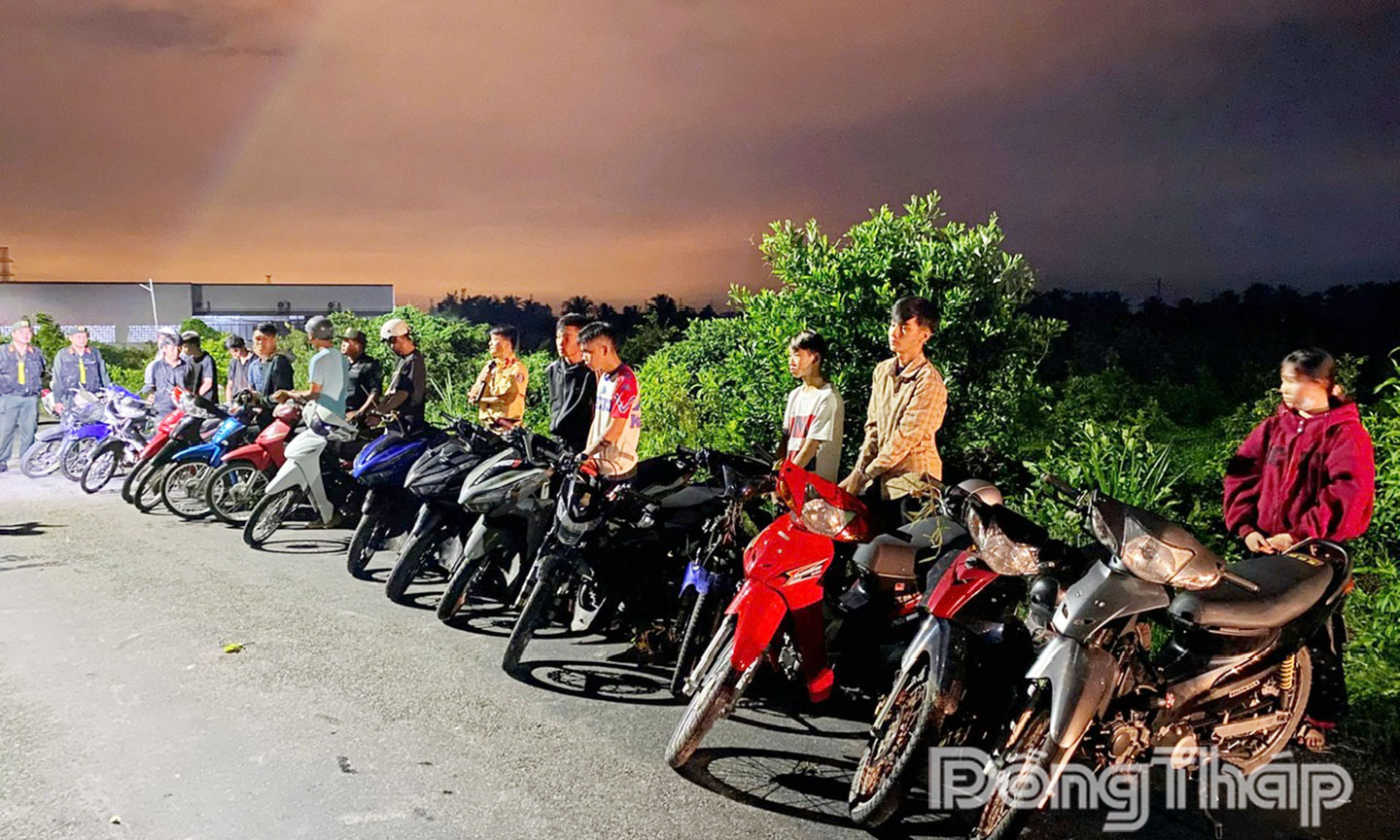 Các đối tượng và phương tiện bị tạm giữ.