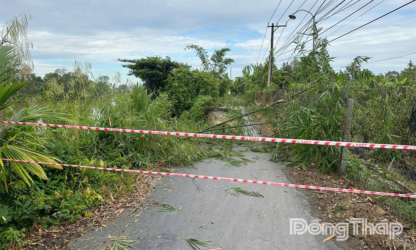 Khu vực sạt được đã được chính quyền địa phương rào chắn, cảnh báo người dân.