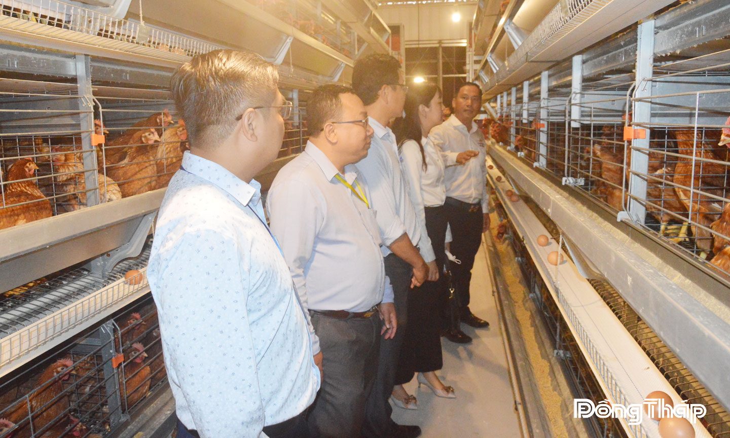 Công ty TNHH Chăn nuôi gia cầm Năm Hưởng đã đầu tư hệ thống công nghệ tự động hóa và chuỗi sản xuất khép kín - từ khâu chăn nuôi, xử lý chất thải đến sản xuất và cung ứng sản phẩm ra thị trường.