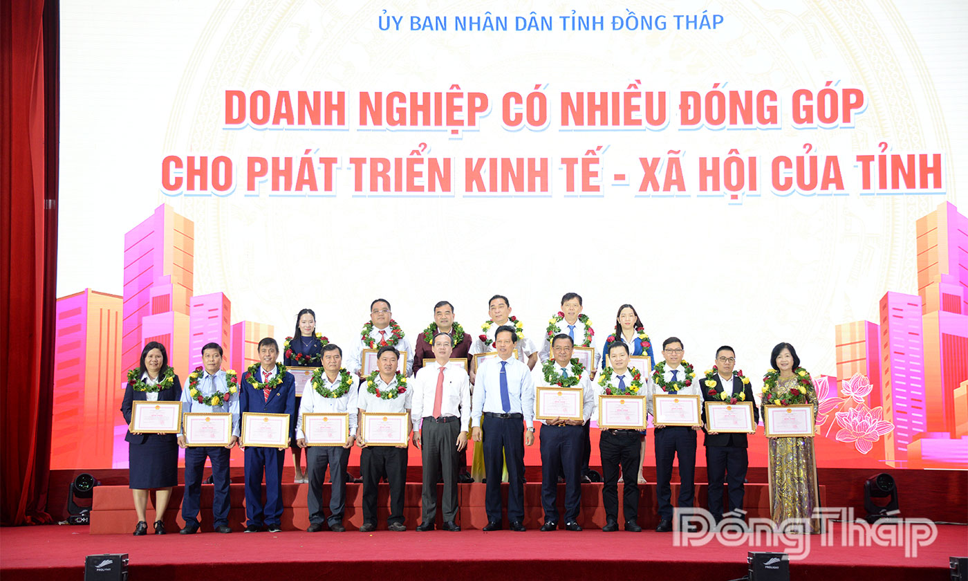 Lãnh đạo tỉnh tặng Bằng khen cho các DN.