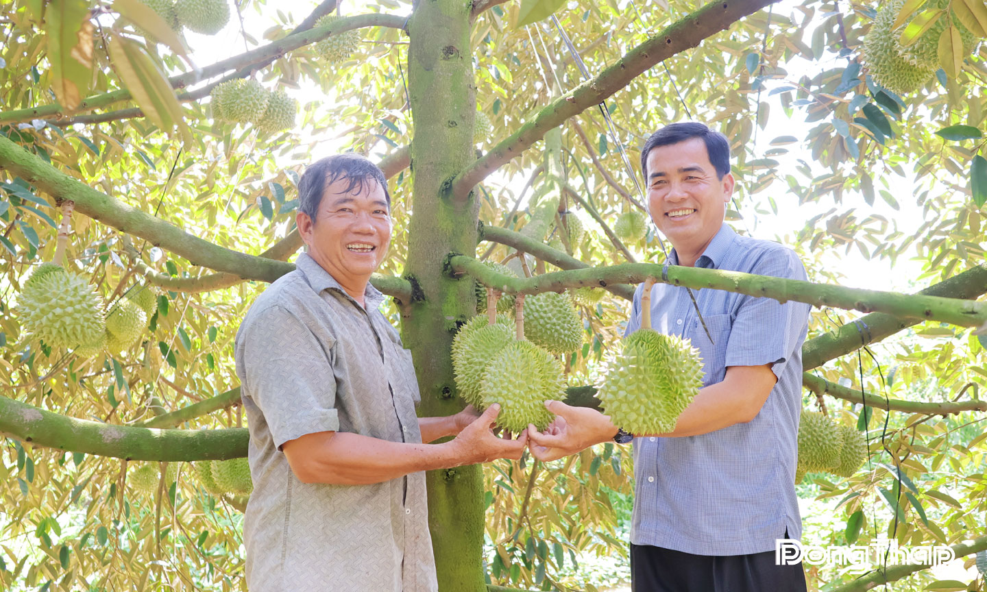 Nông dân xã Mỹ Hiệp tận dụng rác thải hữu cơ để sản xuất phân bón bằng men IMO, giúp giảm chi phí đầu vào và bảo vệ môi trường.