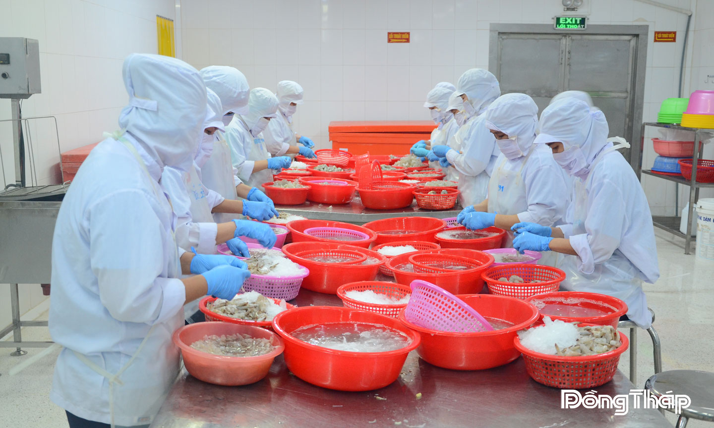 Cộng đồng doanh nghiệp đóng góp quan trọng vào phát triển kinh tế - xã hội tỉnh nhà.