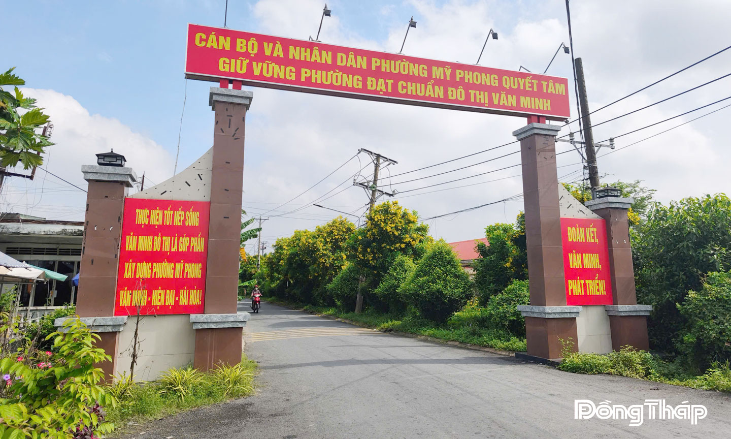 Đường giao thông nông thôn phường Mỹ Phong sáng - xanh - sạch - đẹp.