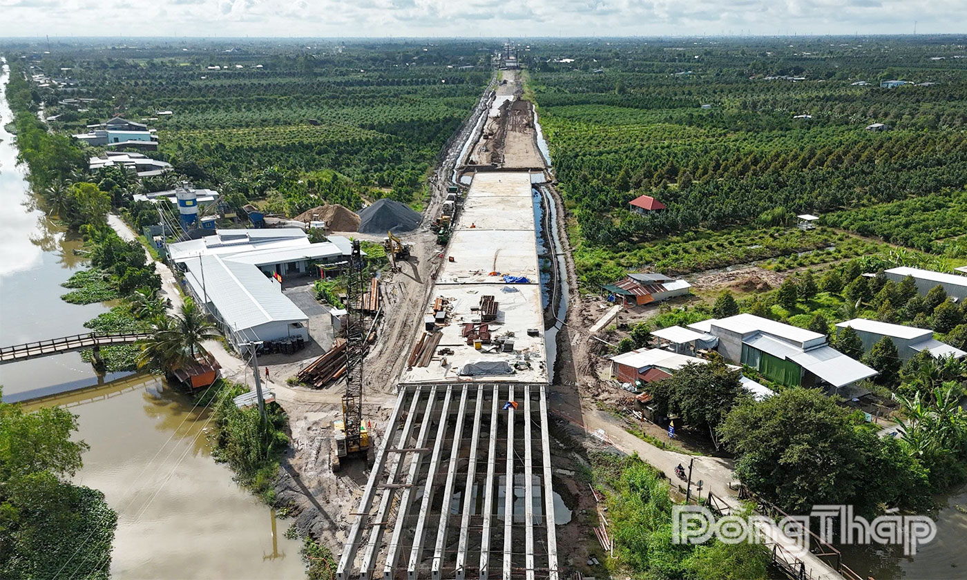 Cao tốc Cao Lãnh - An Hữu nhìn từ trên cao.