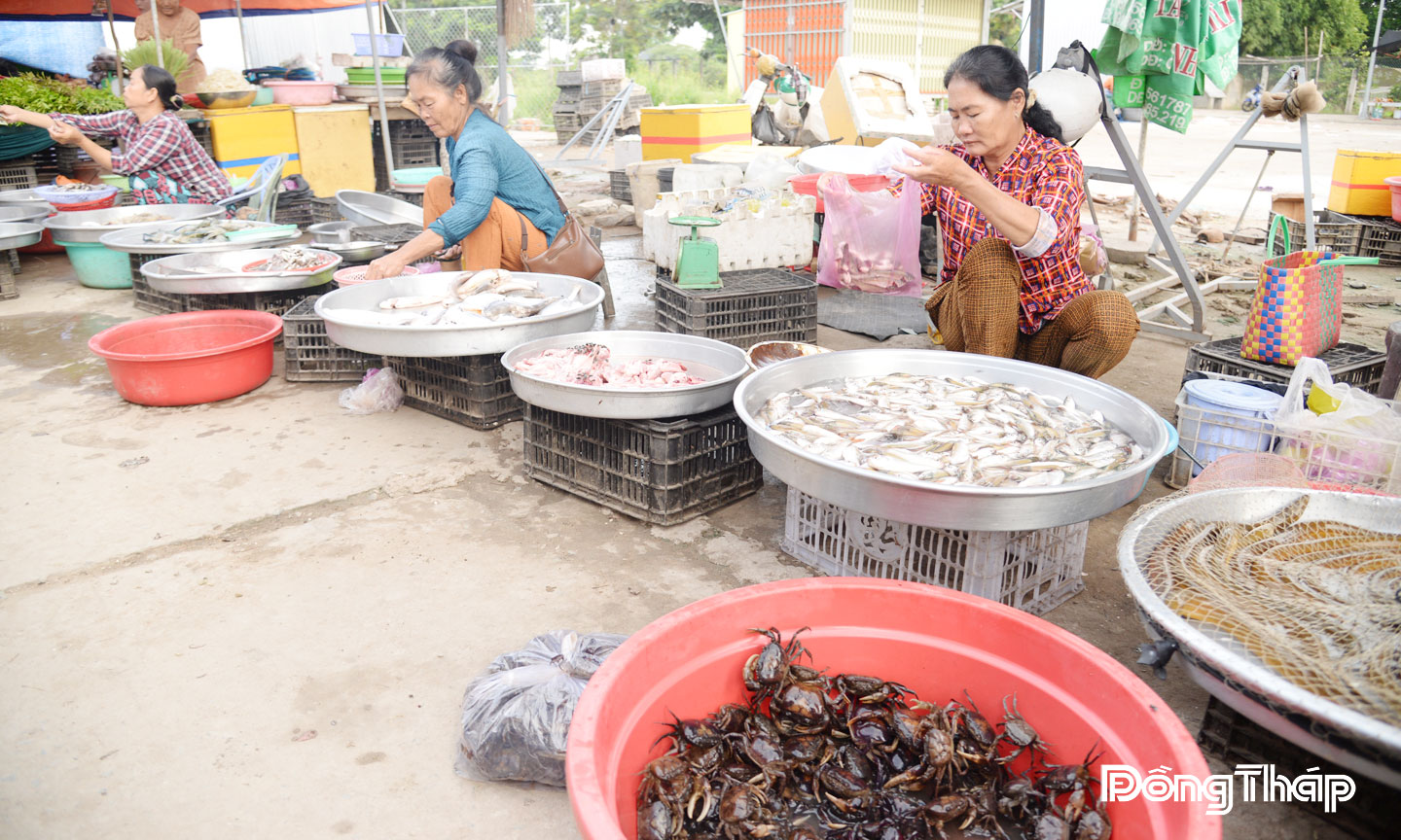 Phong phú các loại cá, tôm được bày bán ở các chợ.