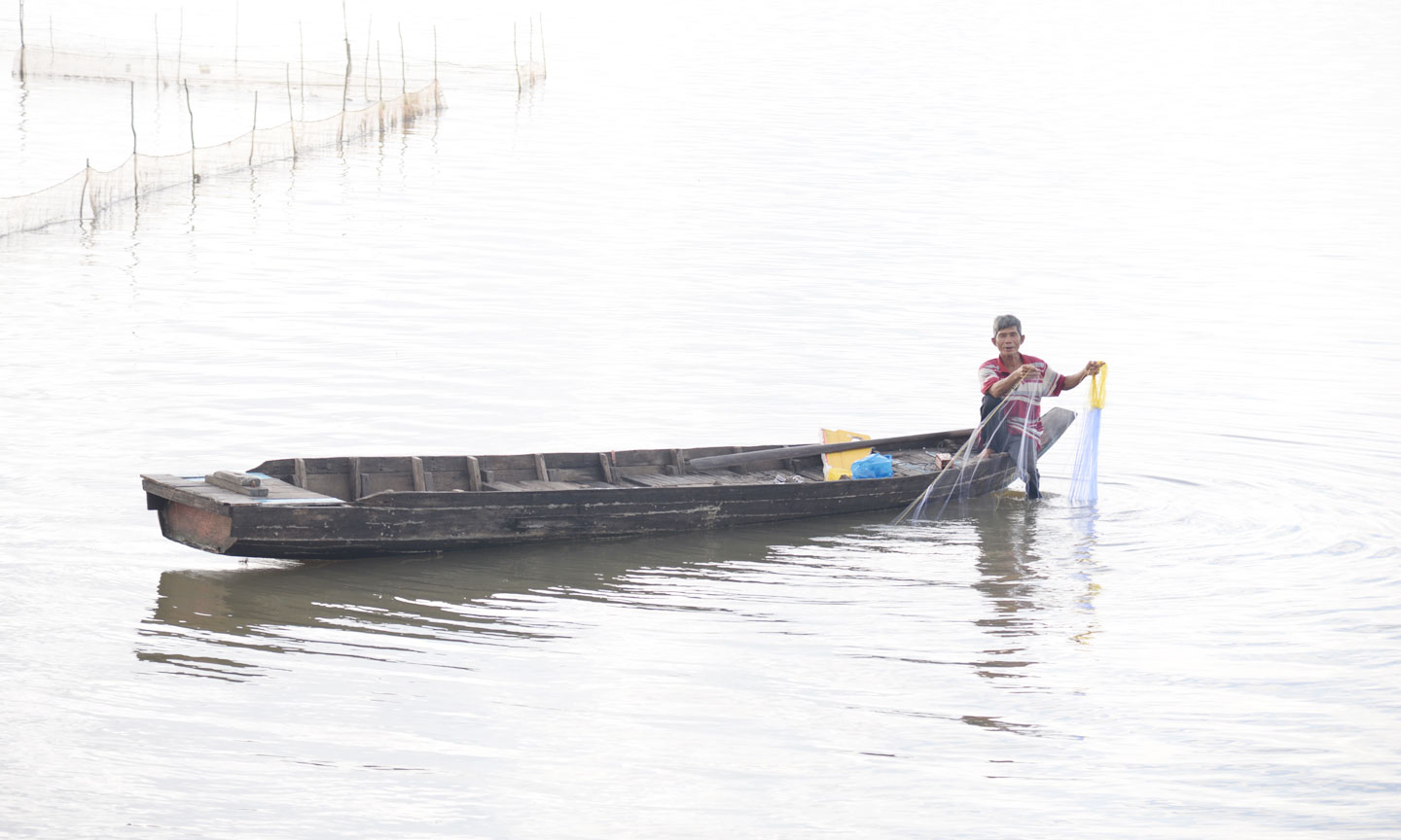 Ông Nguyễn Văn Tiến (ấp Giồng Bàng, xã Thường Phước)  thả lưới đánh bắt cá chạch trên cánh đồng mùa nước nổi.