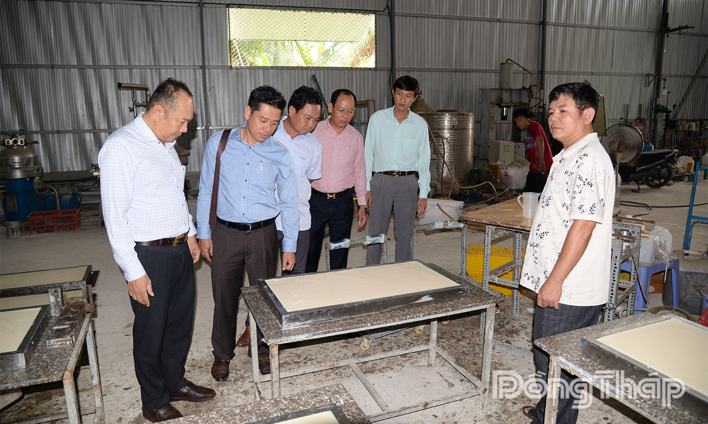 Đoàn công tác của Liên minh HTX tỉnh tìm hiệu hoạt động sản xuất, kinh doanh tại HTX Tiến Phát Chợ Gạo.