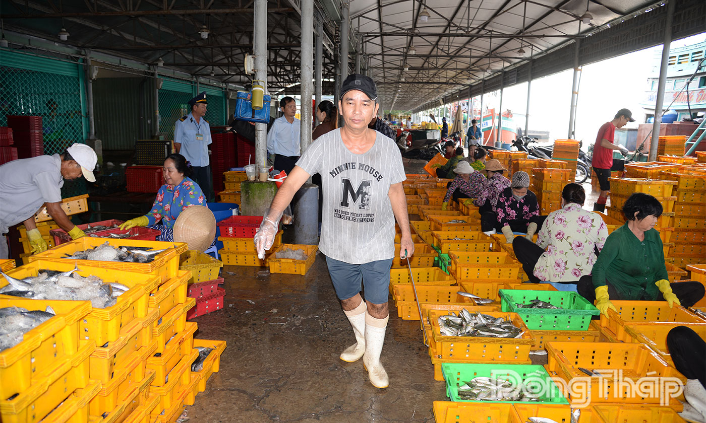 Chợ cá góp phần giải quyết việc làm cho lao động tại địa phương.