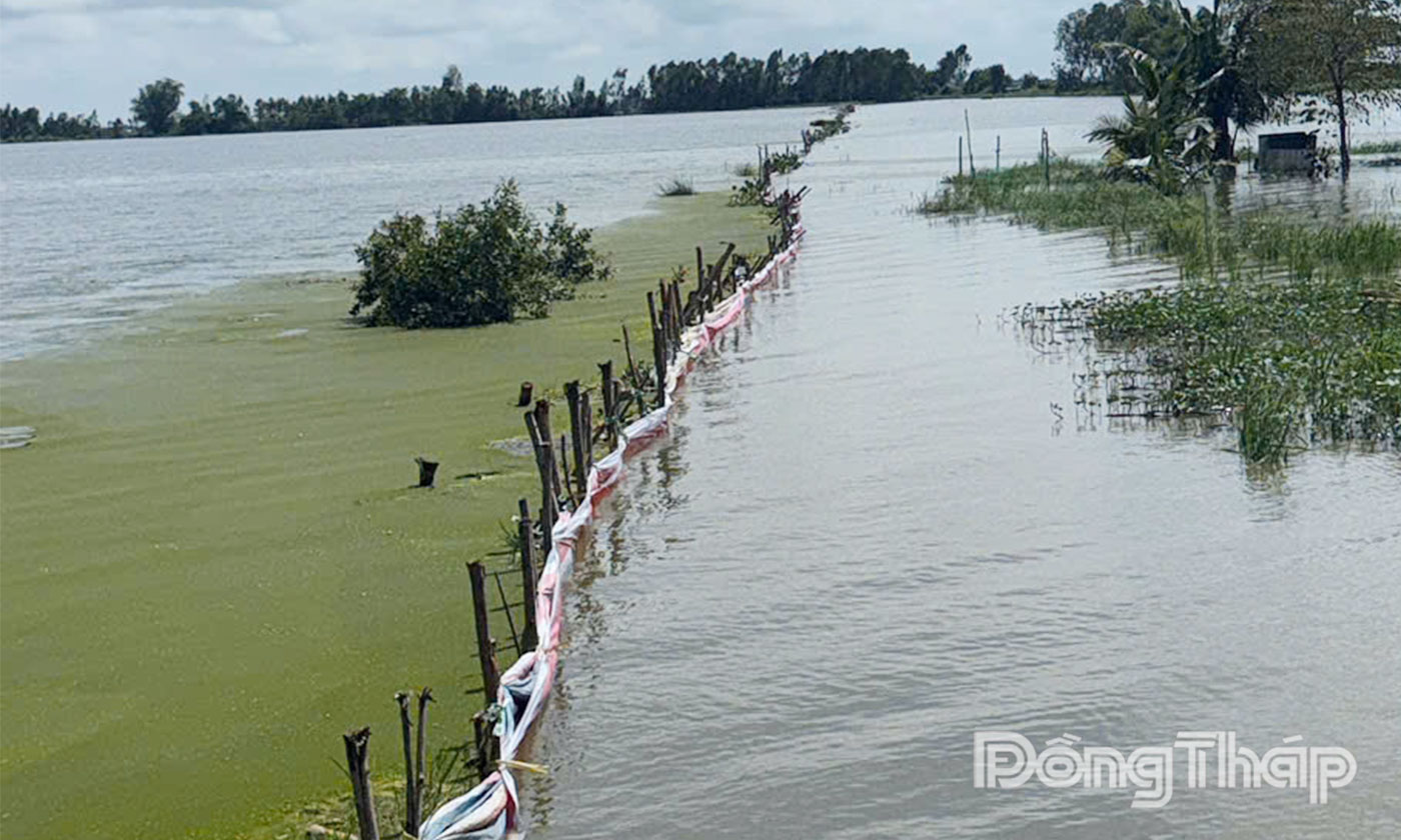 Hiện trường vụ vỡ đê bao tại xã Trường Xuân.
