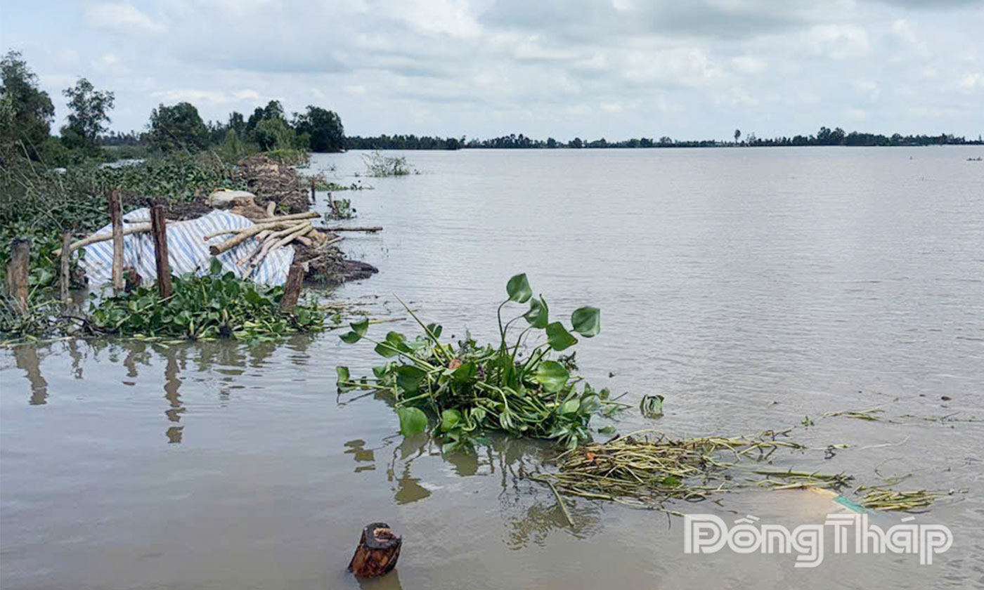 Hiện trường vụ vỡ đê bao tại xã Phương Thịnh, tỉnh Đồng Tháp.
