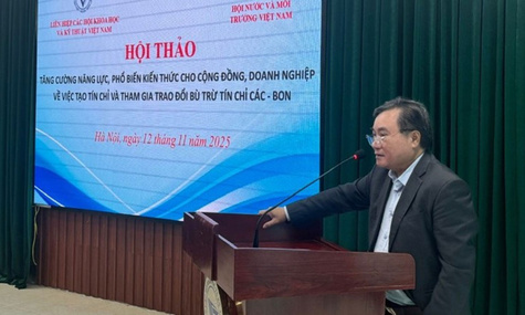 Seminar seeks to accelerate carbon market development in Viet Nam
