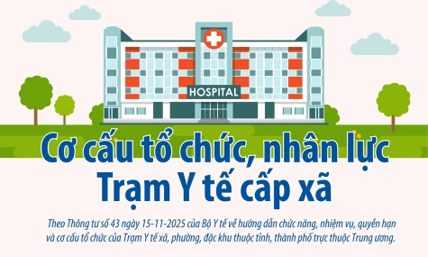 [Infographic] Cơ cấu tổ chức, nhân lực Trạm Y tế cấp xã