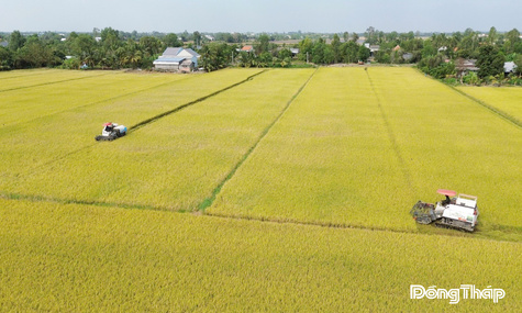 Bài 2: Chuyển dịch sản xuất nông nghiệp