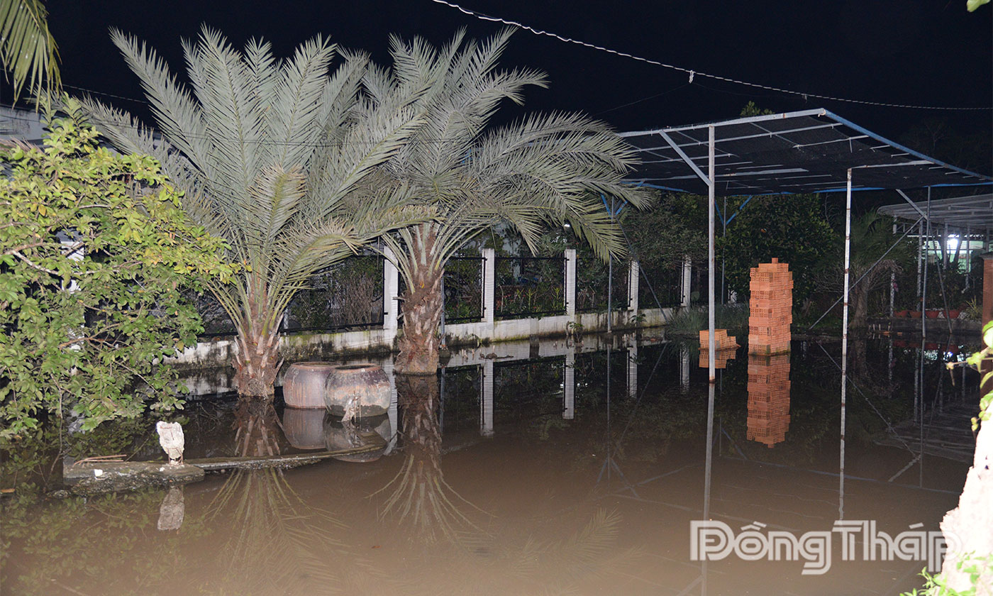 Triều cường gây ngập sâu nhà dân sinh sống cặp sông Bảo Định, phường Trung An.