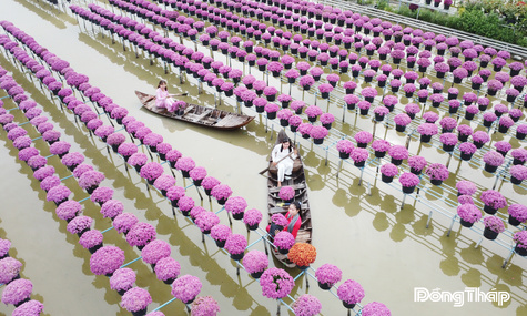 Bài 4: Nâng tầm thương hiệu hoa kiểng