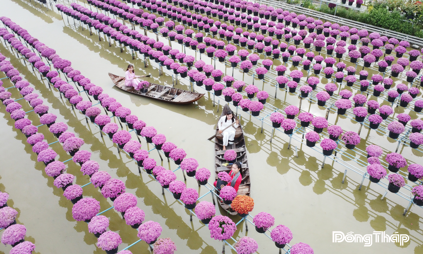 Làng hoa Sa Đéc, một trong những “thủ phủ” hoa kiểng lớn nhất miền Tây.
