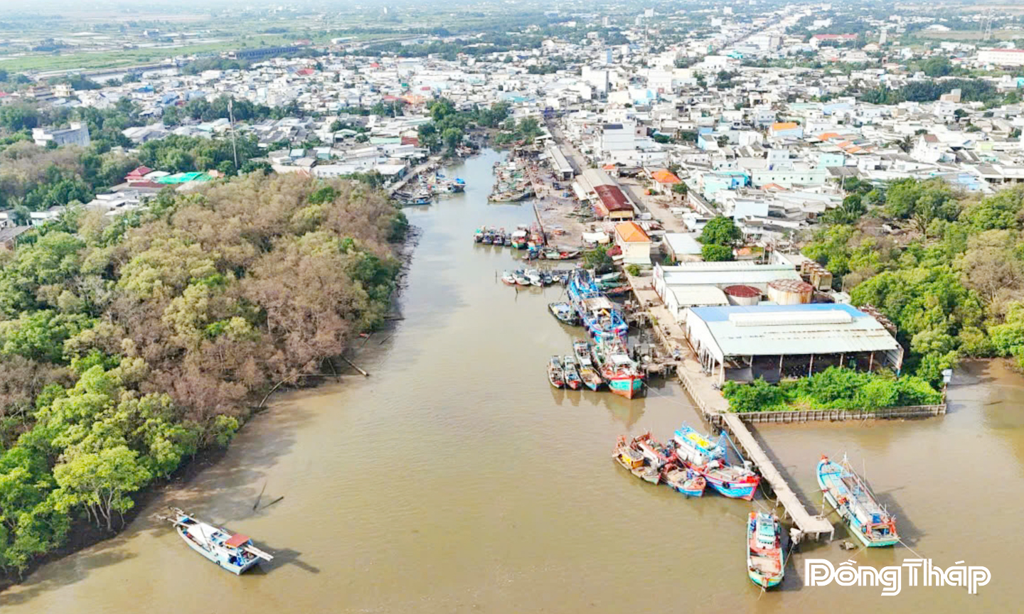 Đô thị xã Gia Thuận nhìn từ trên cao.