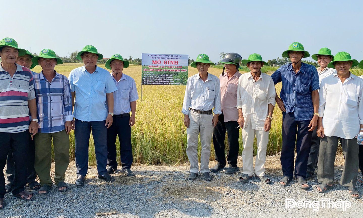 Công ty TNHH Thương mại HK tham gia cung ứng vật tư cho vùng sản xuất lúa chất lượng cao, giảm phát thải.