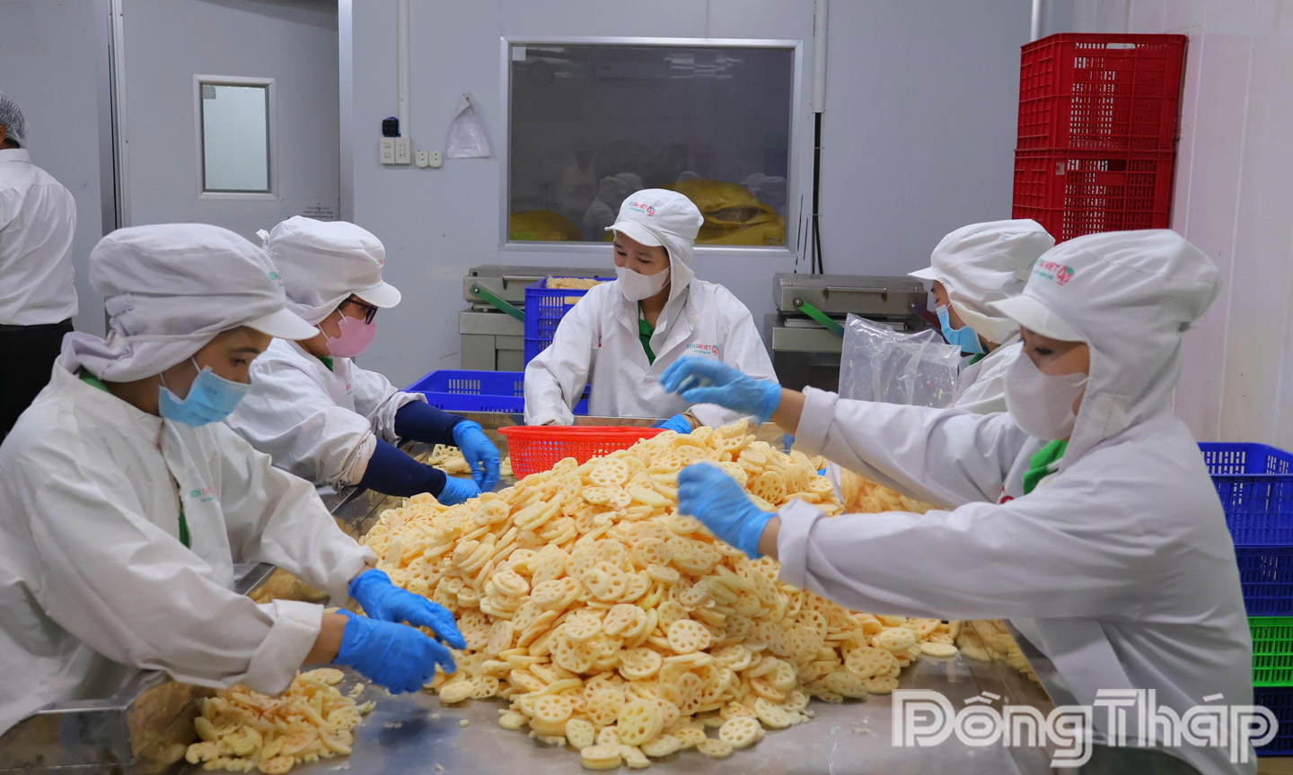 Sen gần gũi với đời sống mỗi người dân; từ thân, củ, lá, hoa… của cây sen đều mang đến lợi ích thiết thực cho con người.