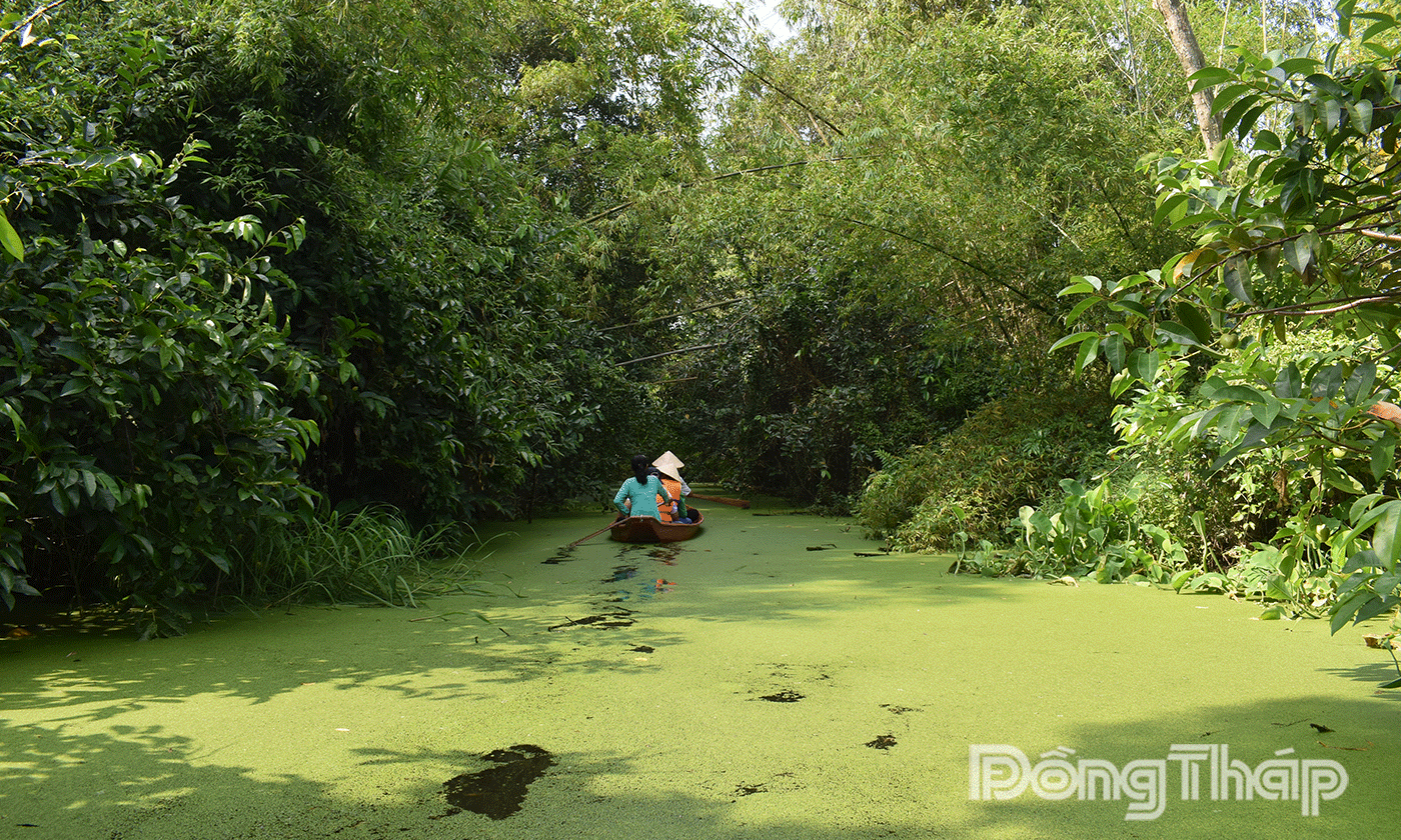Khu bảo tồn nằm trong vùng lõiđược bao bọc bởi hệ thống rừng tràm – nơi đóng vai trò như “lá phổi xanh” của cả vùng