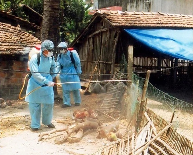 Lực lượng y tế phun hóa chất diệt côn trùng, khử trùng và xử lý môi trường.