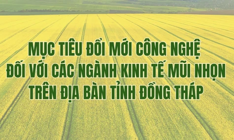 [Infographic] Đổi mới công nghệ trên địa bàn tỉnh Đồng Tháp đối với các ngành kinh tế mũi nhọn