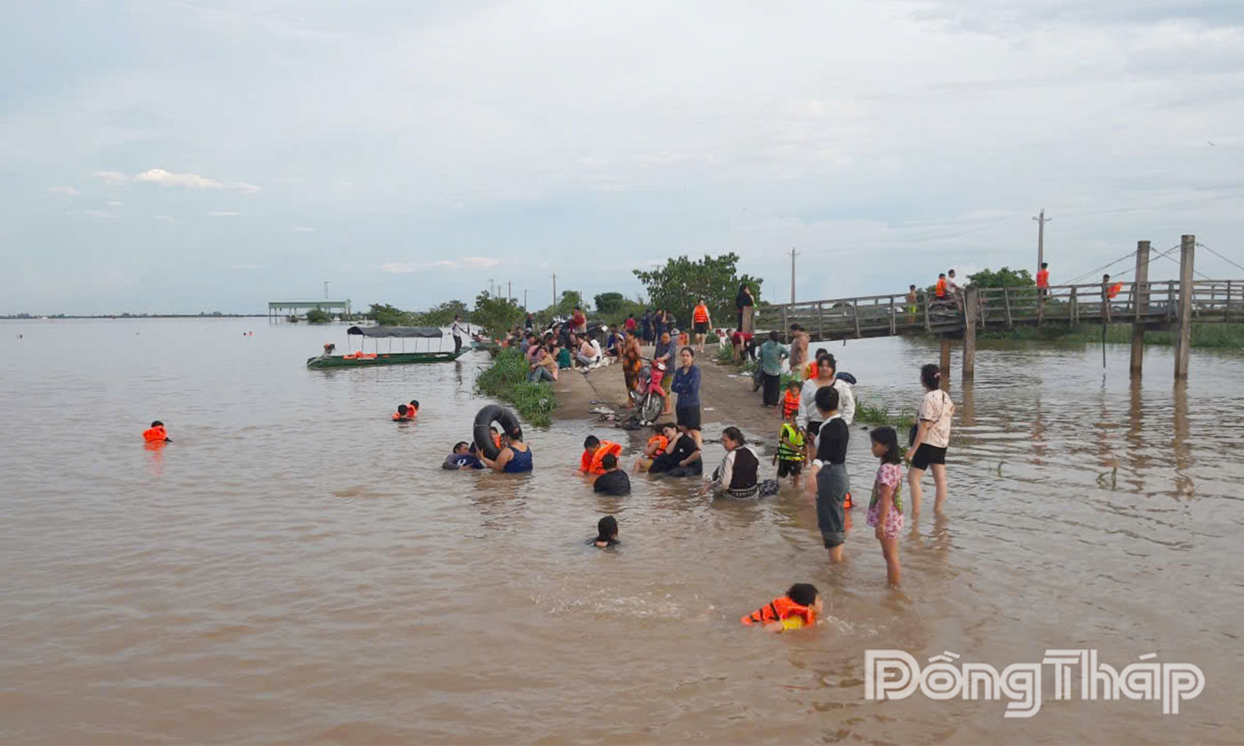 Du khách trải nghiệm du lịch trên cánh đồng mùa nước nổi ở xã Thường Phước.