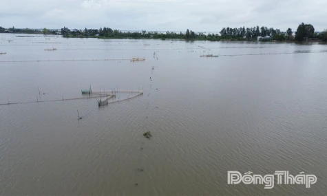 Mực nước khu vực đầu nguồn Đồng Tháp tiếp tục xuống trong vài ngày tới