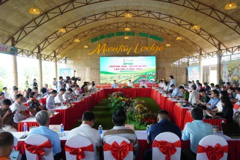 Đồng Tháp: Họp báo Festival Hoa - Kiểng Sa Đéc lần II năm 2025