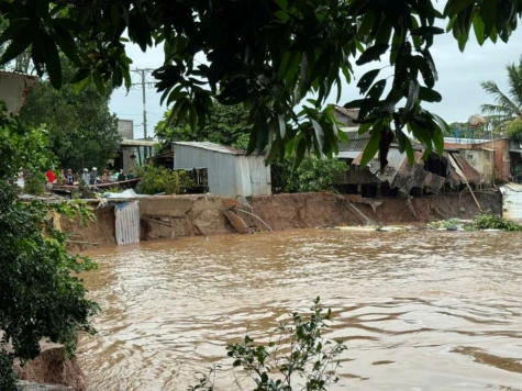 Công bố tình huống khẩn cấp sạt lở bờ sông Tiền tại xã Tân Long