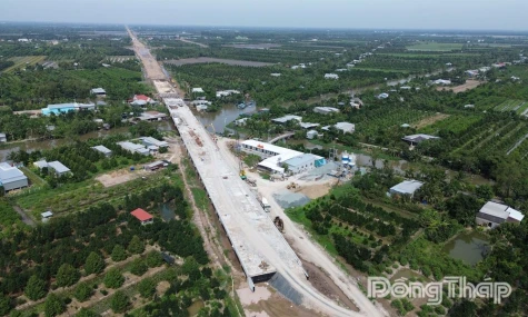 Đồng Tháp: Tập trung triển khai nhiệm vụ trọng tâm, phấn đấu hoàn thành cao nhất các chỉ tiêu năm 2025