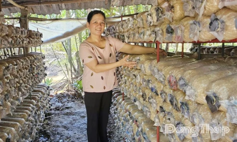 Từ công nhân may thành chủ trang trại nấm