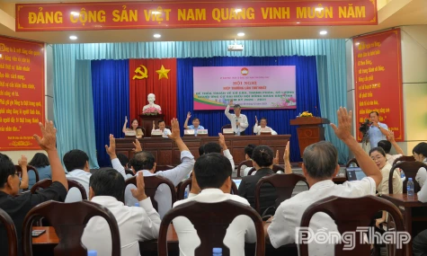 Đồng Tháp: Hiệp thương cơ cấu, thành phần, số lượng người ứng cử đại biểu Quốc hội và HĐND tỉnh