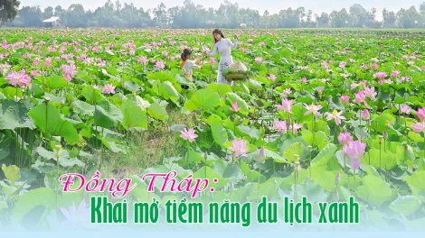 Đồng Tháp: Khai mở tiềm năng du lịch xanh