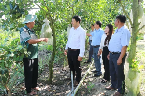 Phát triển kinh tế nông nghiệp bền vững 