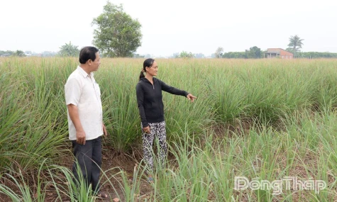 Chính sách tín dụng hỗ trợ phát triển nông nghiệp, nông dân, nông thôn