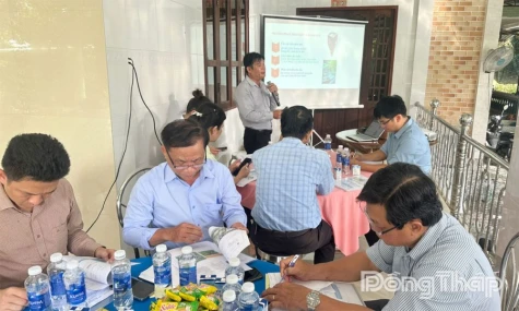 Kết quả bước đầu của mô hình Khắc phục vùng trồng sầu riêng bị nhiễm Cadimi