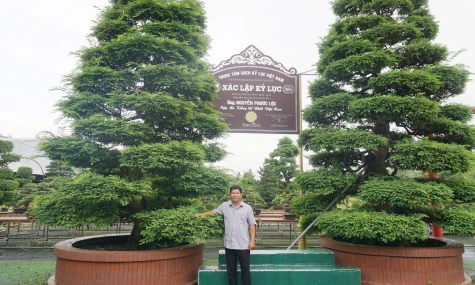 Bảo tàng bonsai Sa Đéc: Hướng đi triển vọng của nghệ nhân 
Nguyễn Phước Lộc