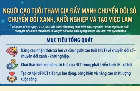 [Infographic] Người cao tuổi tham gia đẩy mạnh chuyển đổi số, chuyển đổi xanh, khởi nghiệp và tạo việc làm