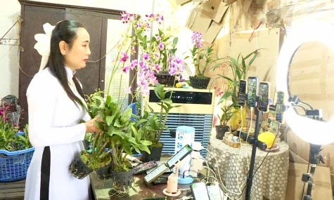 Livestream - Giải pháp mở rộng thị trường của nhiều doanh nghiệp