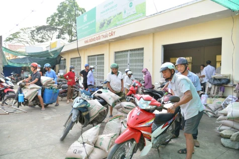 Xã Vĩnh Kim và xã Kim Sơn: Hỗ trợ nông dân phục hồi cây trồng sau ảnh hưởng bão, lũ