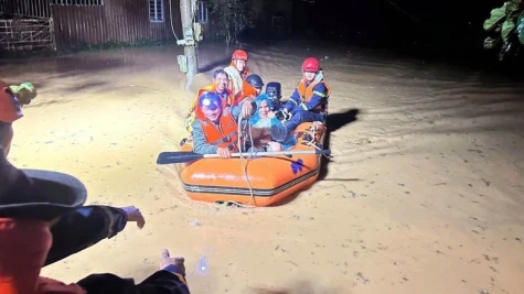 ADB and BIDV support sustainable agriculture and women’s empowerment in Viet Nam