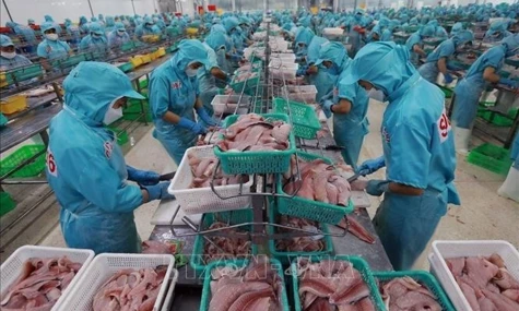 Mercosur, Viet Nam launch preferential trade agreement negotiations