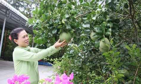 Tập trung đưa người lao động đi làm việc có thời hạn ở nước ngoài