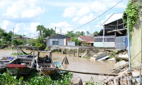 Đồng Tháp: Đầu tư 252 tỷ đồng xử lý sạt lở đê ven sông Tiền tại xã An Hữu