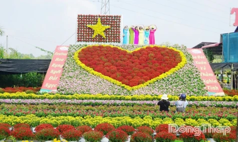 Thorough Preparations Underway for the 2nd Sa Dec Flower & Ornamental Plant Festival