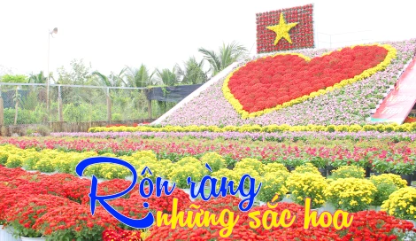 Chào mừng Festival Hoa - Kiểng Sa Đéc lần thứ II, năm 2025: Rộn ràng những sắc hoa