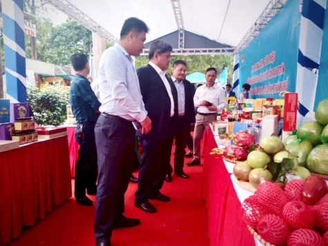 Đồng Tháp nâng chất chuỗi nông sản an toàn, mở rộng kết nối thị trường Hà Nội