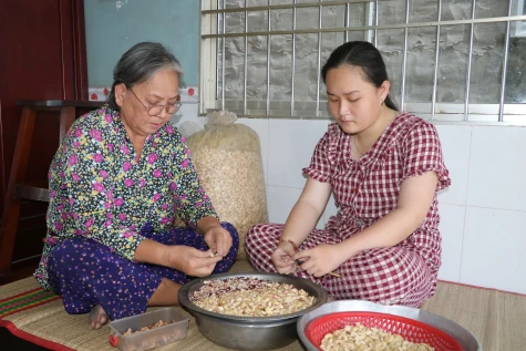 Vượt qua nghịch cảnh, vươn tới tương lai
