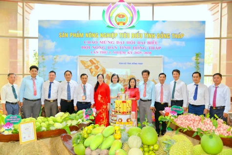 PHÓ BÍ THƯ TỈNH ỦY, CHỦ TỊCH ỦY BAN MẶT TRẬN TỔ QUỐC VIỆT NAM TỈNH ĐỒNG THÁP PHAN VĂN THẮNG: Hội Nông dân Đồng Tháp với sứ mệnh nòng cốt trong xây dựng nông nghiệp hiện đại, nông thôn văn minh